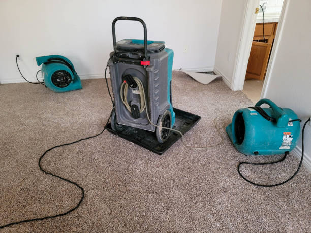 Best Fire Damage Restoration  in Dunbar, SC