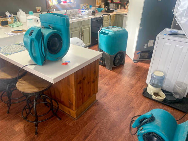 Best Local water damage restoration  in Dunbar, SC