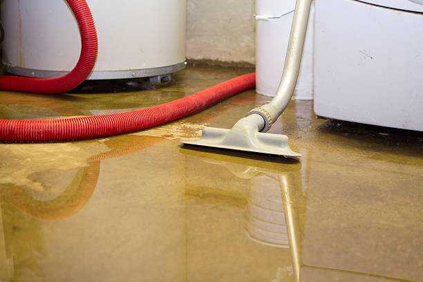 Best Water damage restoration near me  in Dunbar, SC