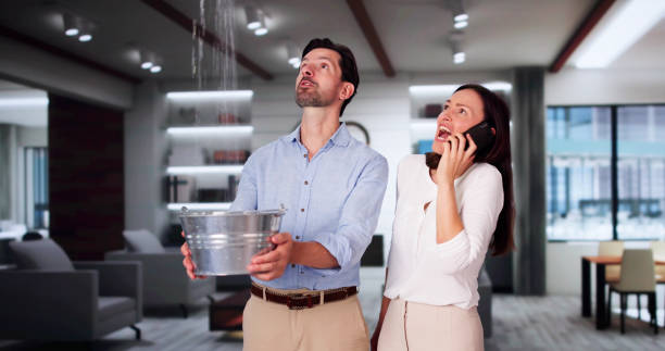 Best Ceiling water damage repair  in Dunbar, SC