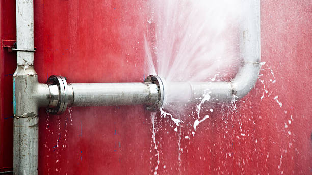 Best Water damage cleanup near me  in Dunbar, SC